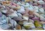 TraciBunkers.com - Hand-dyed Dusky TnM Spinning Fiber in Dorset Deletrius TraciBunkers.com - Hand-dyed Dusky TnM Spinning Fiber in Dorset Deletrius