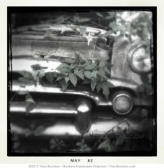 TraciBunkers.com-Viny Packard TraciBunkers.com-Viny Packard