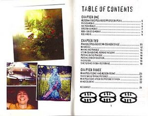TraciBunkers.com - Alternative and Pinhole Polaroid Photography Zine TraciBunkers.com - Alternative and Pinhole Polaroid Photography Zine