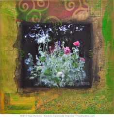 TraciBunkers.com - Richard\\\\\\\'s Poppies richards_poppies.jpg